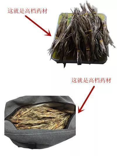 龍魚藥“治百病”具體是什么藥？，“龍魚藥‘治百病’/治百病’”具體是什么藥