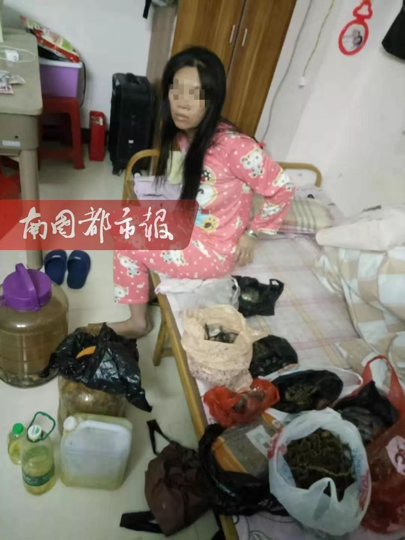 龍魚藥“治百病”具體是什么藥？，“龍魚藥‘治百病’/治百病’”具體是什么藥