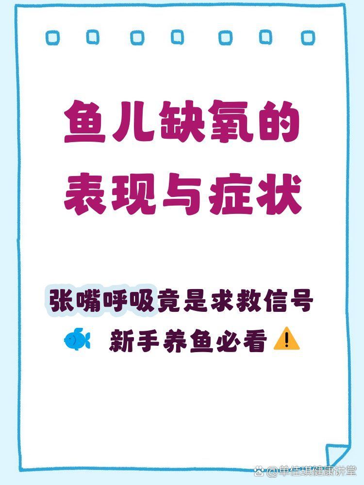 如何調(diào)整魚缸氧氣泵功率？，2026靜音氧氣泵實(shí)測排行榜|養(yǎng)魚不被噪音擾