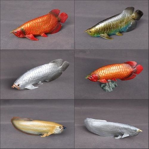綠皮紅龍魚的繁殖過程是怎樣的？，綠皮紅龍魚的繁殖過程