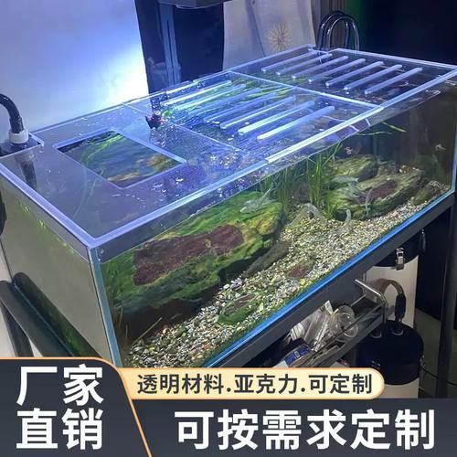 給我一份龍魚飼養 checklist，龍魚飼養完整checklist