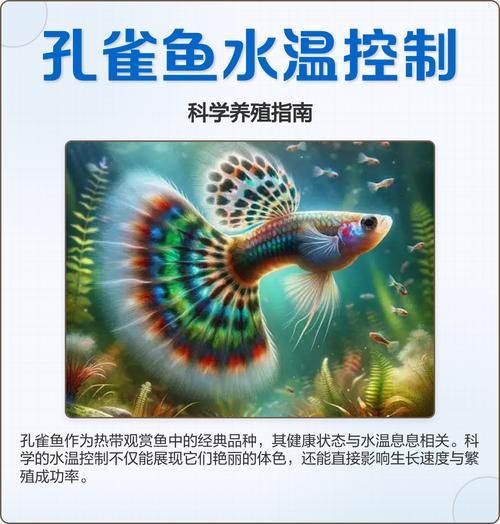 如何預(yù)防孔雀魚夜間死亡，預(yù)防孔雀魚夜間死亡的方法