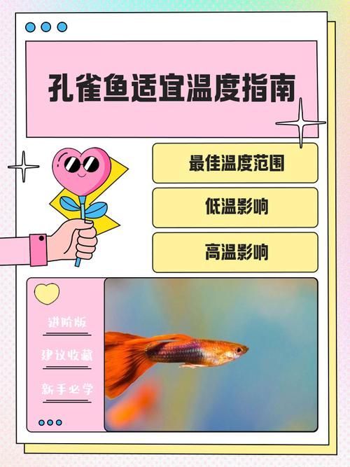 如何預(yù)防孔雀魚夜間死亡，預(yù)防孔雀魚夜間死亡的方法