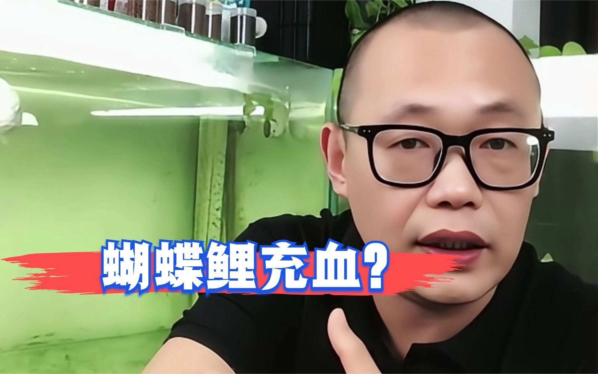 魚充血病如何治療，如何判斷魚充血病是否嚴(yán)重？