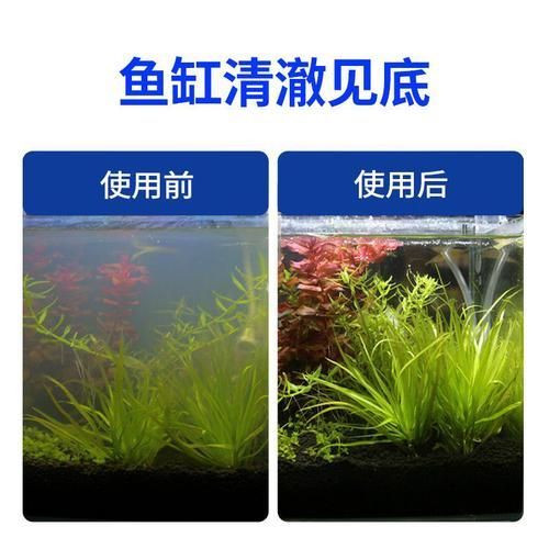 有哪些品牌的龍魚安定劑值得推薦？