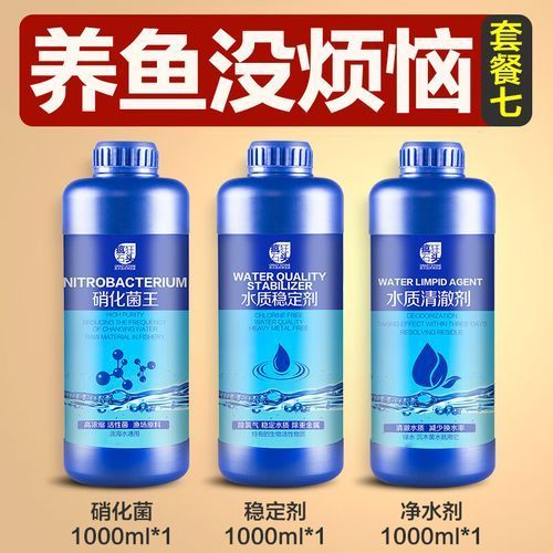 有哪些品牌的龍魚安定劑值得推薦？