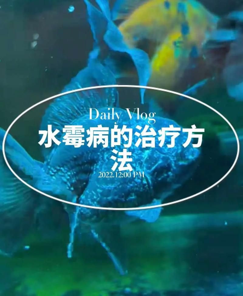 治療水霉病時，如何避免對魚體造成應激，arxiv論文助手arxiv論文助手arxiv論文助手