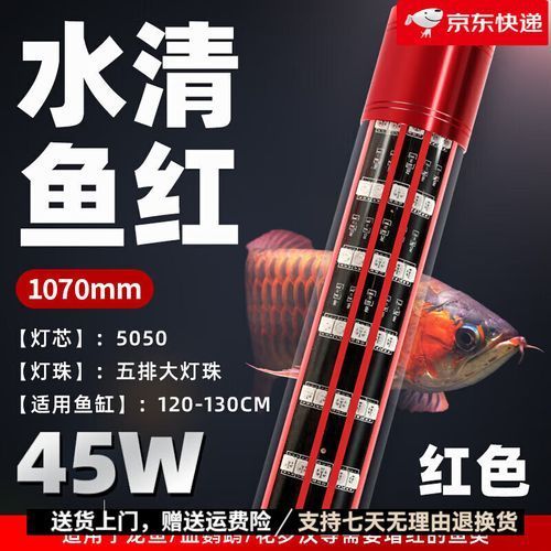 給我推薦一些適合龍魚的夜燈品牌，龍魚夜燈品牌推薦