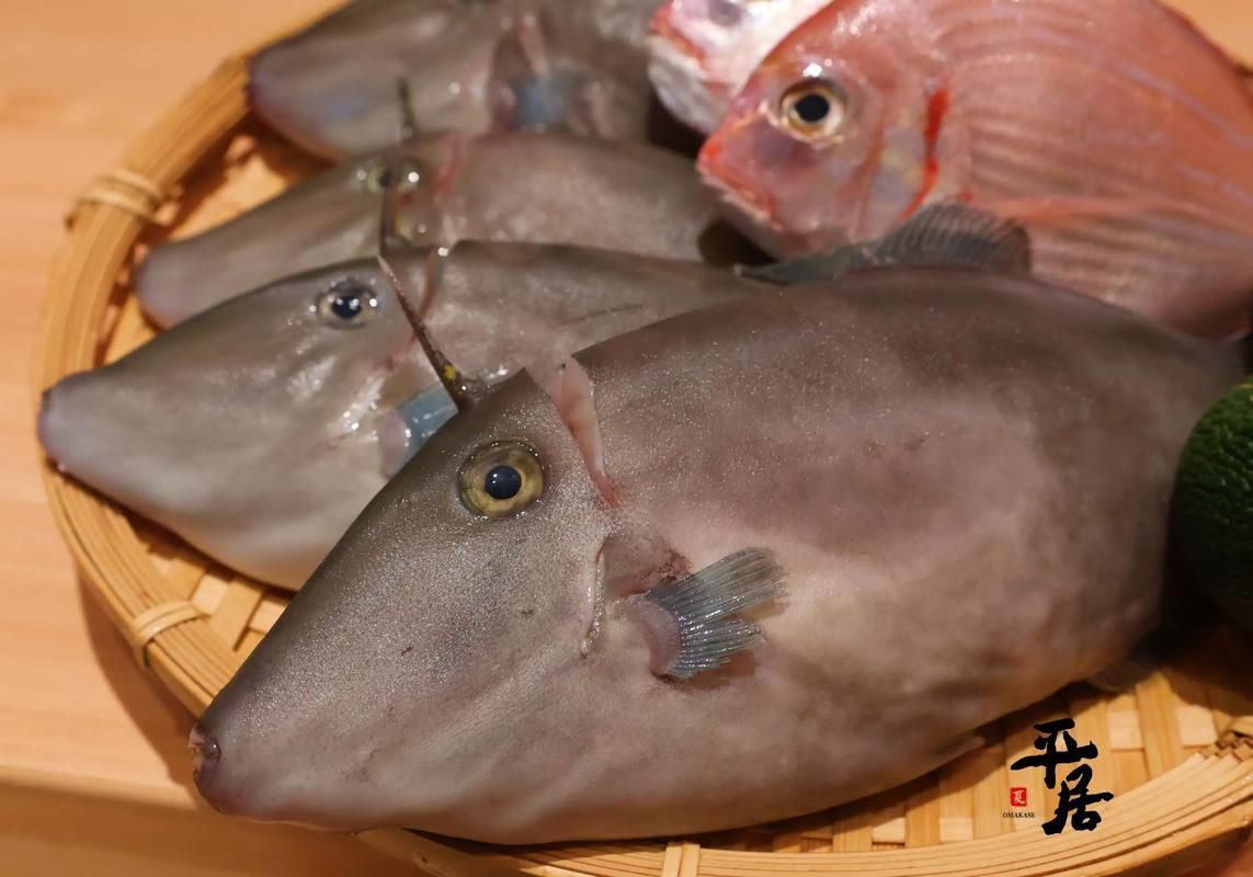 樂(lè)亭龍魚(yú)的產(chǎn)品質(zhì)量如何？