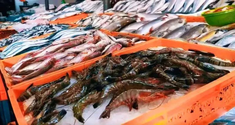 樂(lè)亭龍魚(yú)的產(chǎn)品質(zhì)量如何？