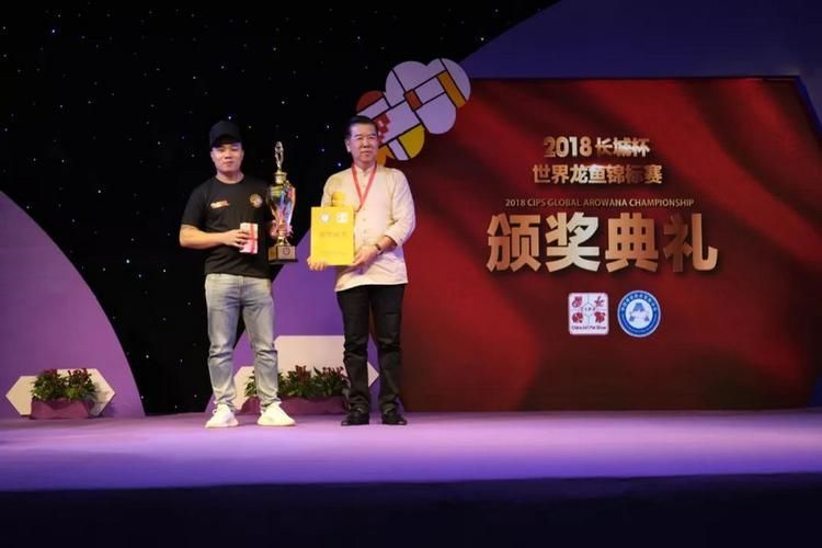 哪里可以找到高清的龍魚知識講座視頻？，高清龍魚知識講座視頻資源