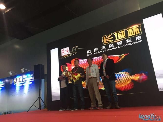 哪里可以找到高清的龍魚知識講座視頻？，高清龍魚知識講座視頻資源