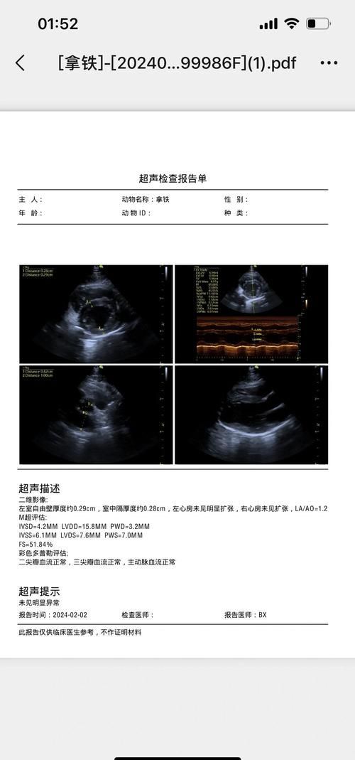 龍貓先天性疾病有哪些常見類型，龍貓先天性疾病有哪些常見類型及其臨床表現(xiàn)