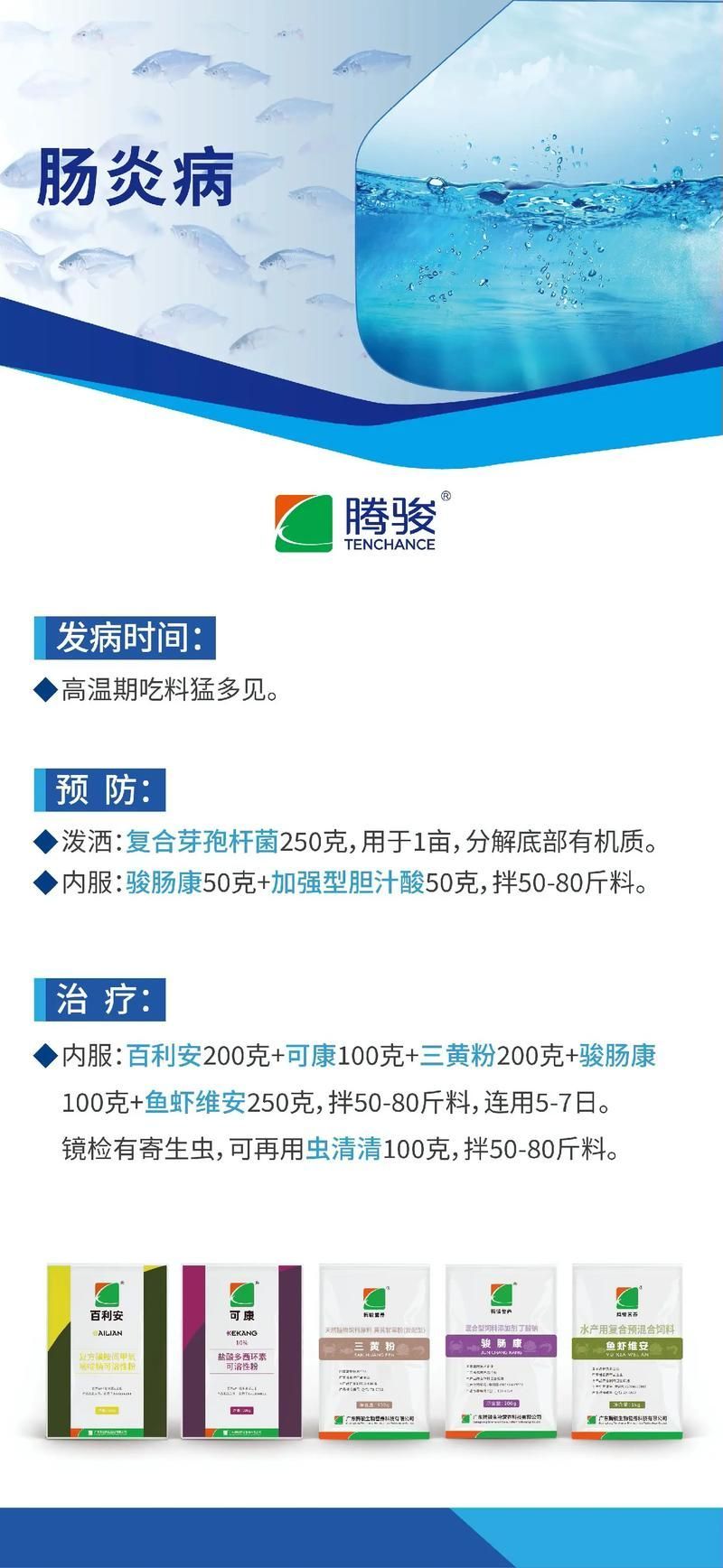 如何預防龍魚感染這四種病？，如何預防龍魚感染四種疾病預防措施