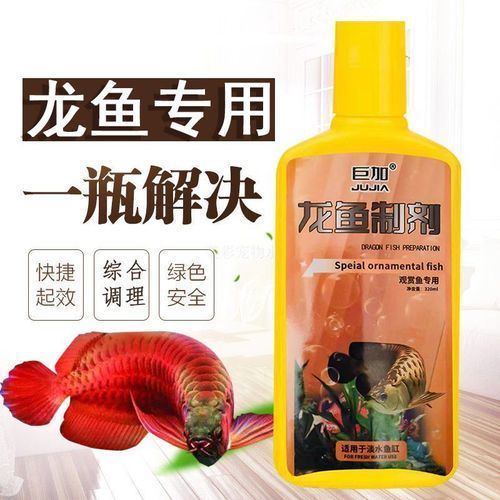 如何預防龍魚感染這四種病？，如何預防龍魚感染四種疾病預防措施