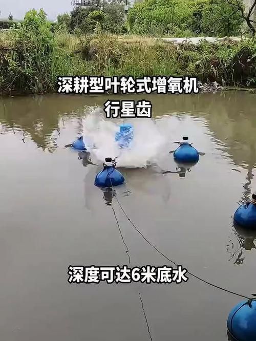 如何預防魚爛鰓病的發生，arxiv論文助手預防魚爛鰓病的發生調用工具arxiv論文助手