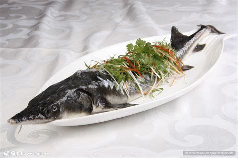 鱘龍魚有哪些常見的烹飪方法？，鱘龍魚有哪些常見的烹飪方法不僅肉質細膩鮮美而且富含營養價值