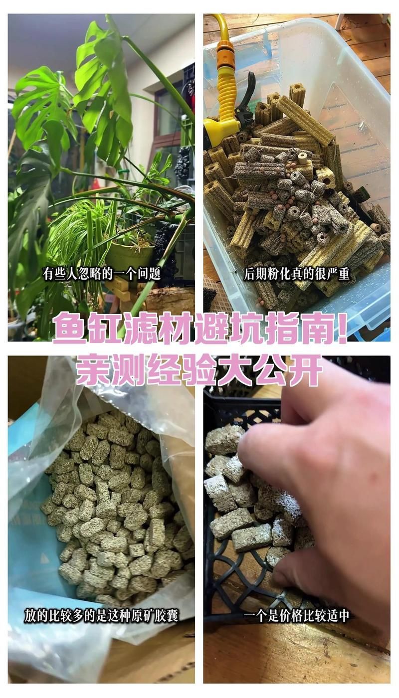 如何選擇適合魚缸的濾材？，如何選擇魚缸濾材