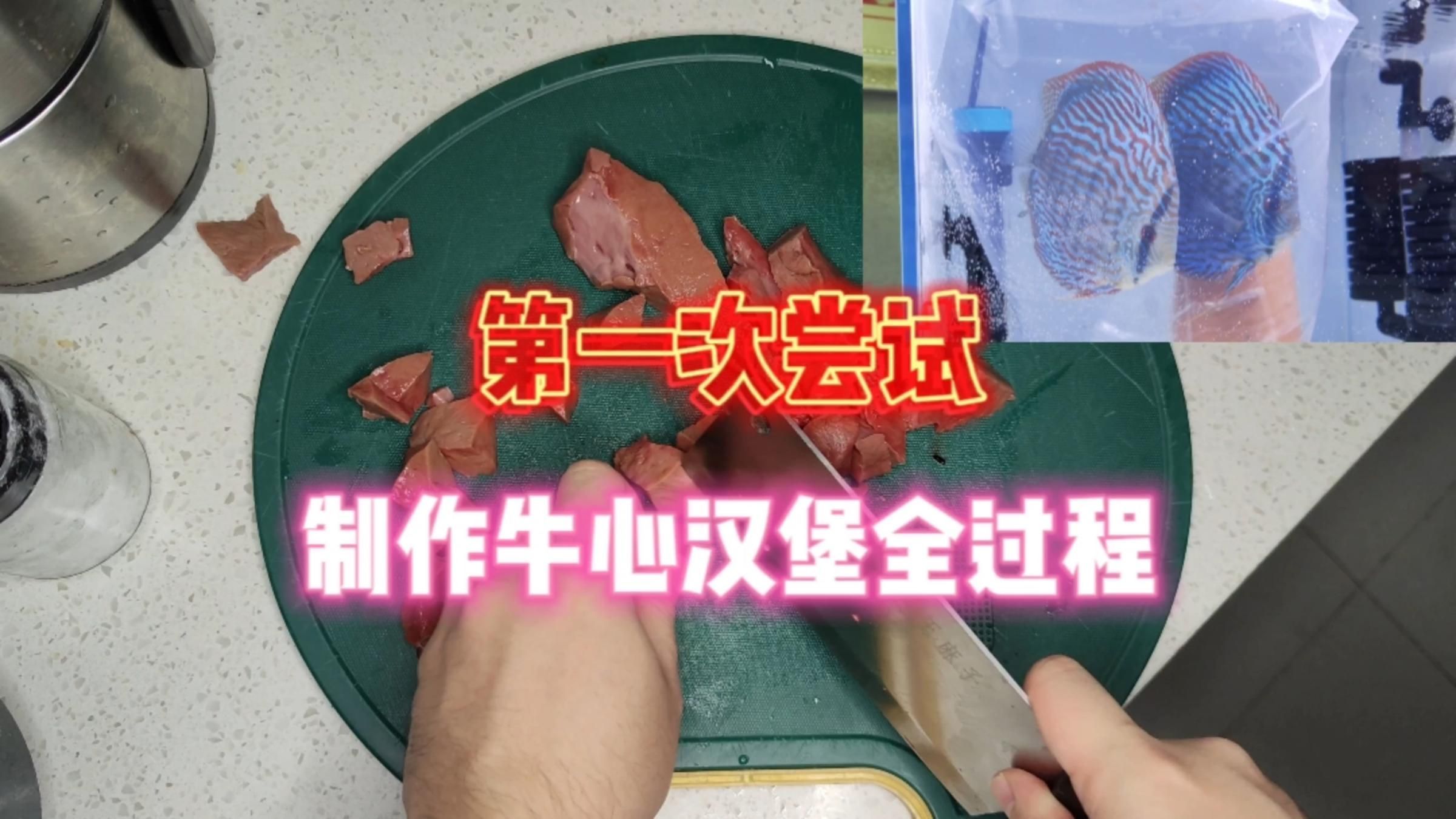 如何正確喂食牛心漢堡，如何正確喂食牛心漢堡，牛心漢堡投喂記錄表,