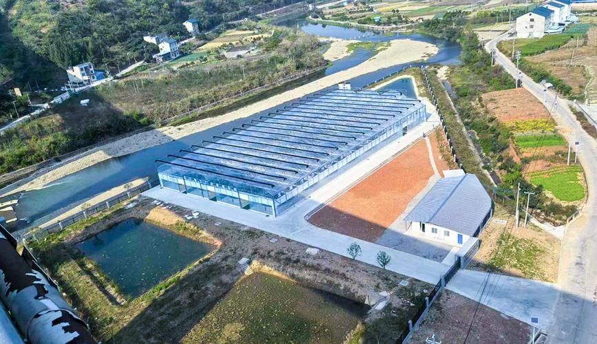 余慶龍魚的養殖技術有哪些？，余慶龍魚養殖技術的高階工業化應用和食用雙重價值的池塘設計