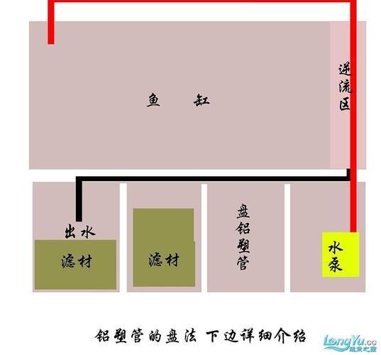 如何緩解龍魚因天氣熱而拒食，如何恢復食欲，如何緩解龍魚因天氣熱而拒食