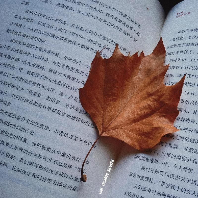 小龍哥漁場(chǎng)是否位于任丘市，小龍哥漁場(chǎng)是否位于任丘市，