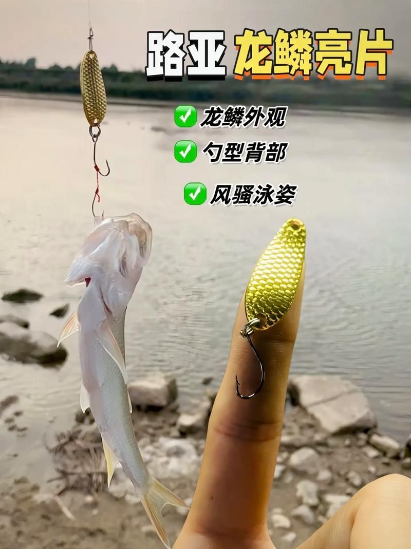 如何判斷龍魚是否屬于九華山龍魚，九華山龍魚（scleropagesformosus龍魚（scleropagesformosus）