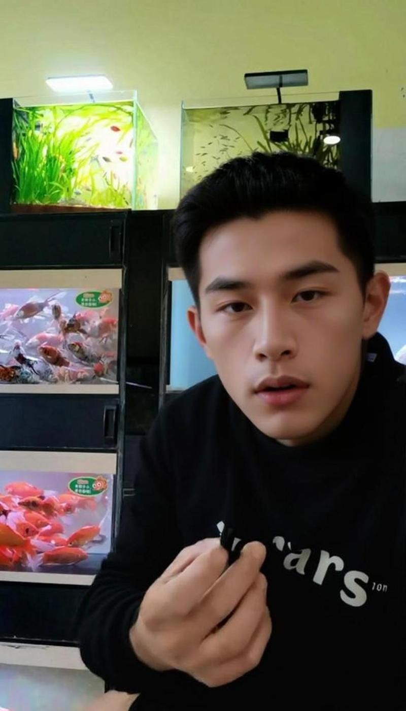 魚爛尾爛鰭可以自愈嗎，觀賞魚爛尾爛鰭教你怎么治讓你的魚漂亮亮亮全民小視頻