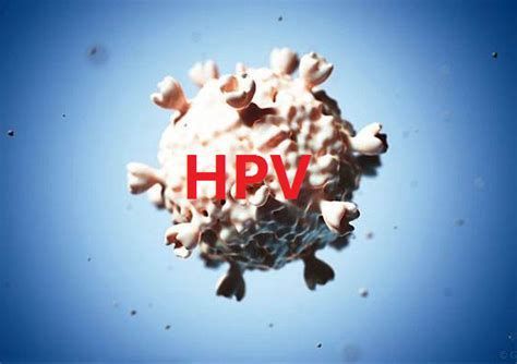 HPV感染龍魚后還能活多久？，hpv感染龍魚后還能活多久,