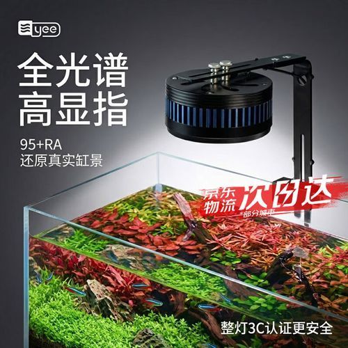 推薦幾款性價比高的魚缸LED燈，推薦幾款性價比高的魚缸led燈