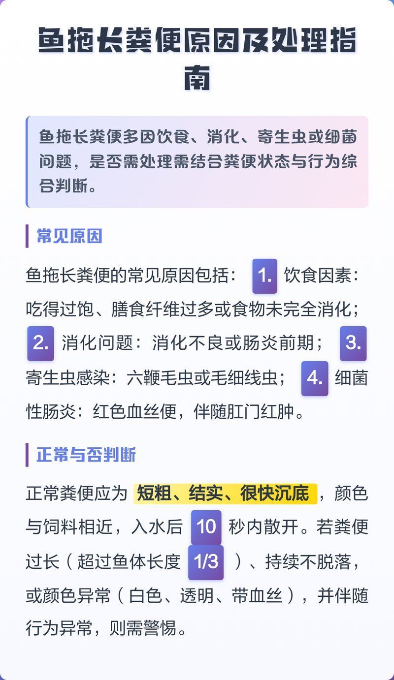 龍魚拖便后多久會恢復，龍魚拖便后多久會恢復？