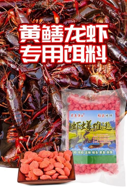 有哪些龍魚餌料是必須嘗試的？，龍魚餌料喂養技巧
