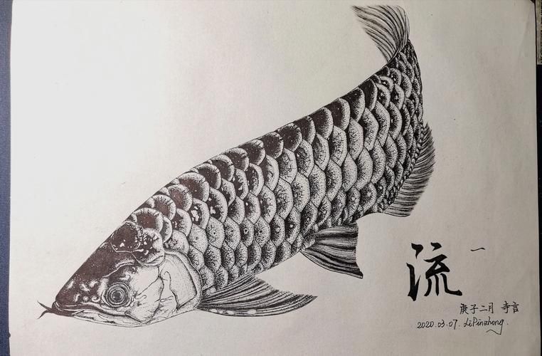 有哪些知名的金龍魚壁紙設計師，金龍魚壁紙設計師