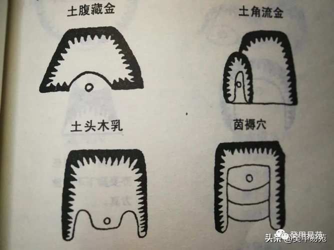 《風水相師龍生》中有哪些經典場景，《風水相師+風水相師+風水相師+風水相師龍生