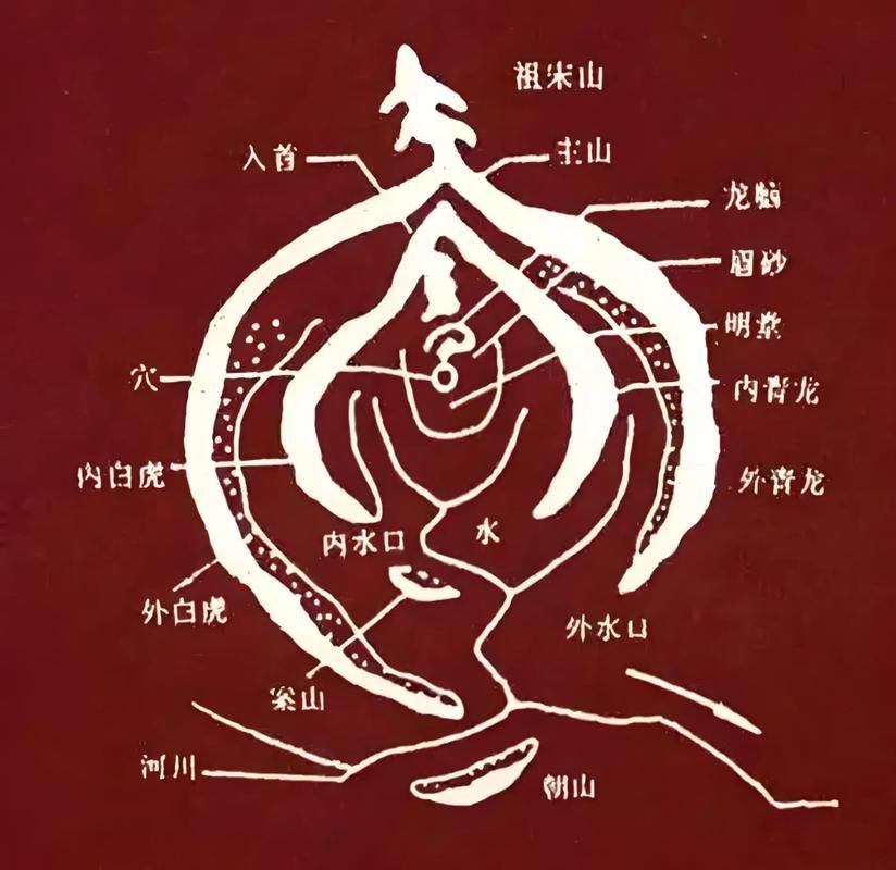 《風水相師龍生》中有哪些經典場景，《風水相師+風水相師+風水相師+風水相師龍生