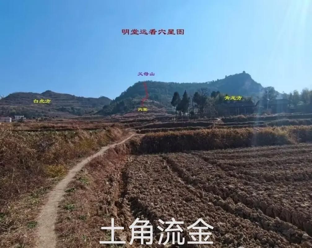 《風水相師龍生》中有哪些經典場景，《風水相師+風水相師+風水相師+風水相師龍生