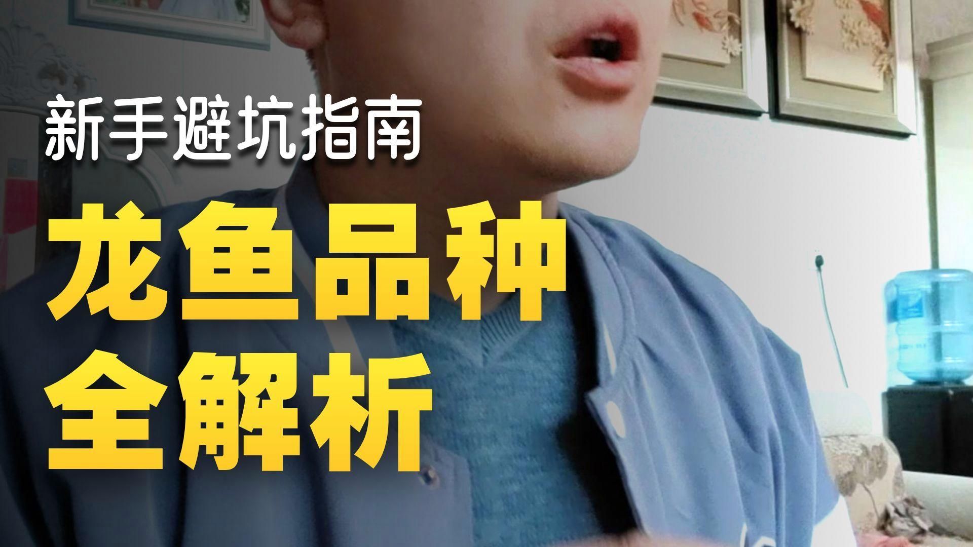 有哪些龍魚品種適合初次飼養？，十款熱門熱門龍魚大揭秘，紅龍、金龍等品種全解析