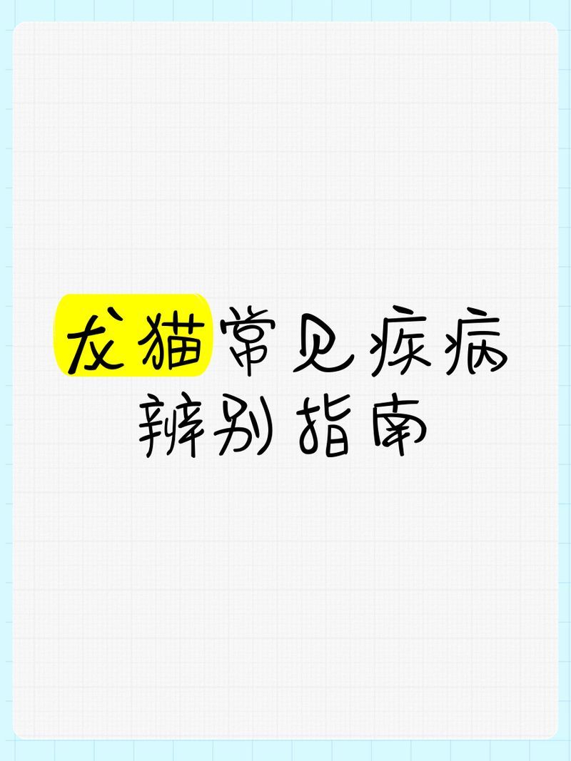 龍貓有哪些常見健康問題，龍貓常見疾病及護理方法