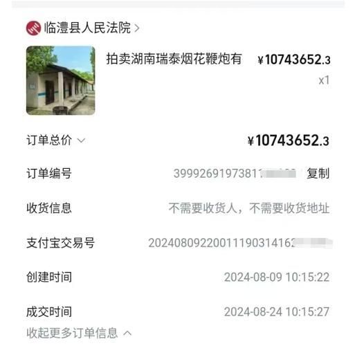 能否提供國有資產拍賣的實例，2019國有資產拍賣流程清單