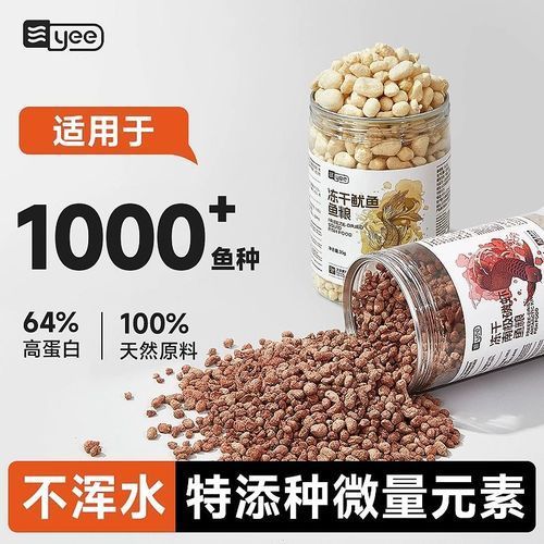 魷龍魚的價格是多少？，食用魷魚與觀賞龍魚的價格對比表，魷龍魚的價格對比表