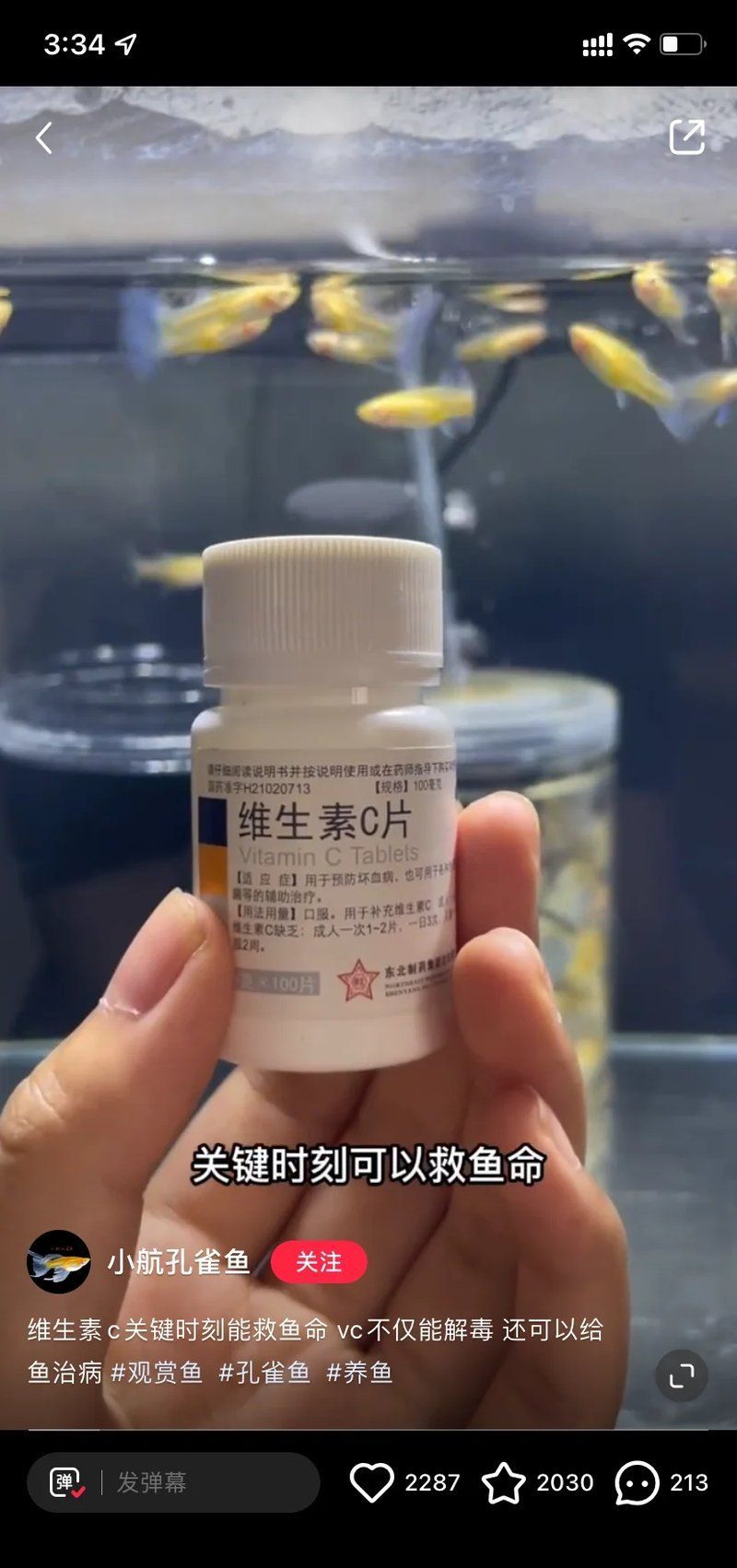 龍魚(yú)爛尾期間如何投喂，加速龍魚(yú)爛尾期間，如何投喂，用戶(hù)要求詳解