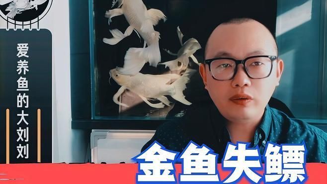 有哪些方法可以治療金魚的失鰾癥，如何治療金魚失鰾癥