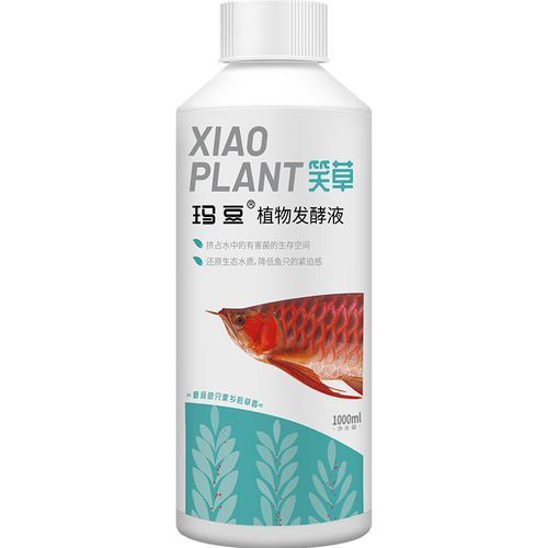 哪些品牌的龍魚益生菌評價最好？，關于龍魚益生菌品牌的評價