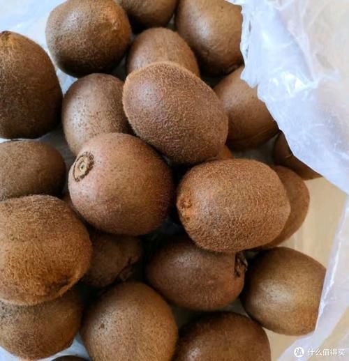 鹽療期間哪些食物最適合