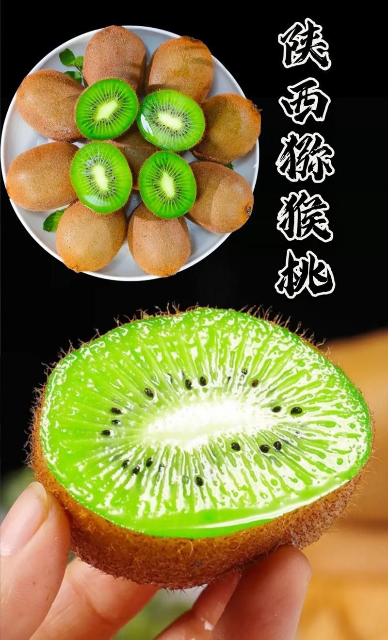 鹽療期間哪些食物最適合