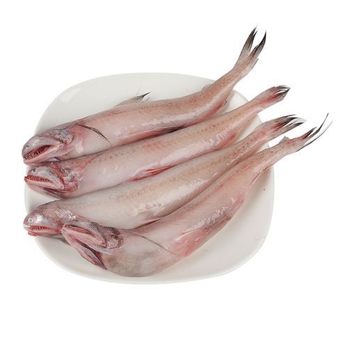 給我一些關于梅里斯達斡爾族龍魚的圖片，梅里斯達斡爾族龍魚是什么，