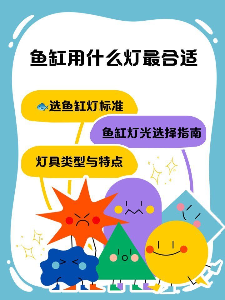 如何優化魚缸的燈光效果，如何優化魚缸的燈光效果,魚缸燈光不僅是觀賞的“點睛之筆”