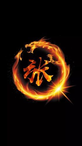 如何搜索到帶張字的龍圖片，“張”字的龍圖片搜索引擎或專業人士分享圖像搜索功能