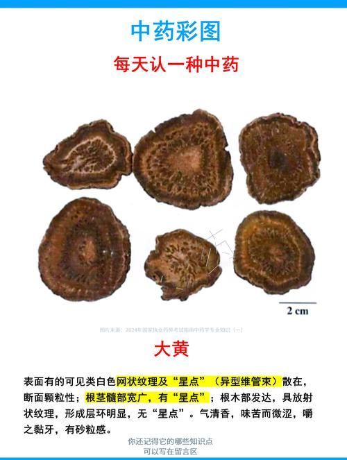 哪些中藥可以有效治療龍魚鰓寄？，哪些中藥可以有效治療龍魚