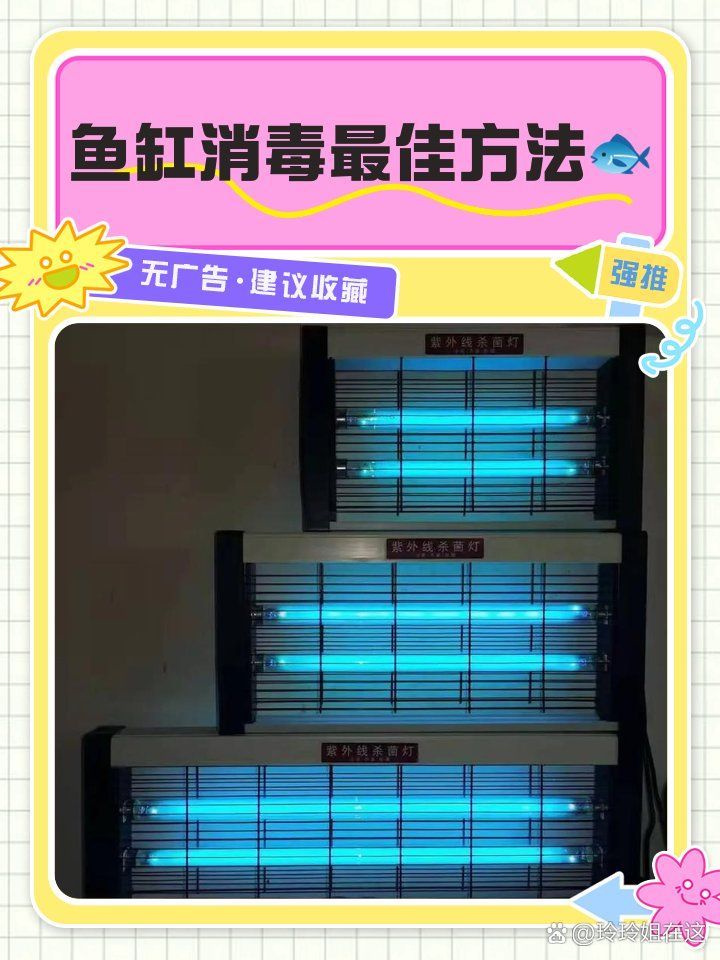 如何判斷魚缸是否需要殺菌，如何判斷魚缸是否需要殺菌，魚缸是否需要殺菌